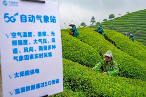 助力共同富裕 中國移動在世界互聯網大會上發布五項創新方案，賦能臺州數字化建設